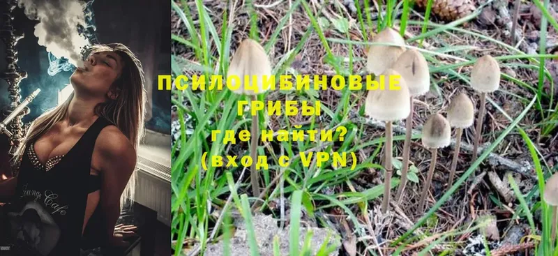 Галлюциногенные грибы Magic Shrooms  что такое   Карпинск 